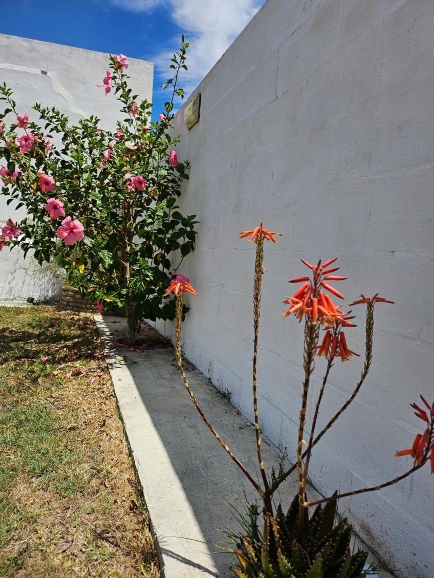 Villa Nonina Chiclana de la Frontera Esterno foto