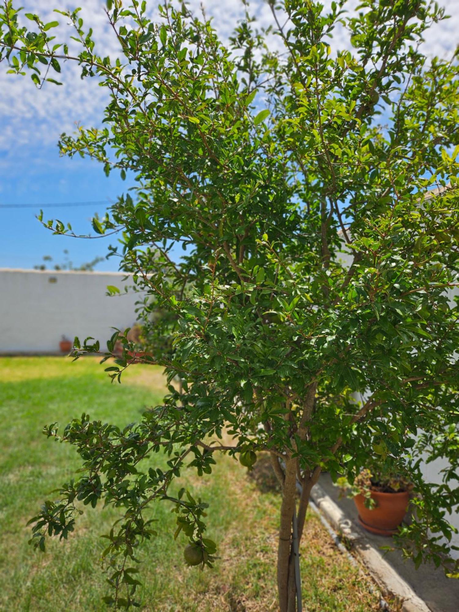 Villa Nonina Chiclana de la Frontera Esterno foto